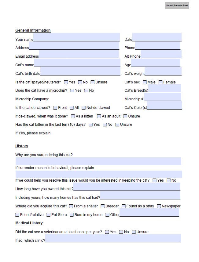 Making Fillable Pdf Forms Printable Forms Free Online