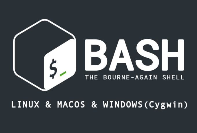 i will write bash shell scripts