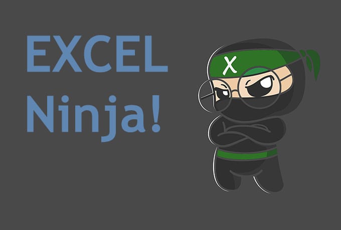 Turn You Into A Microsoft Excel Ninja By Arospt