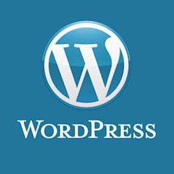 Как сделать логотип в wordpress 301