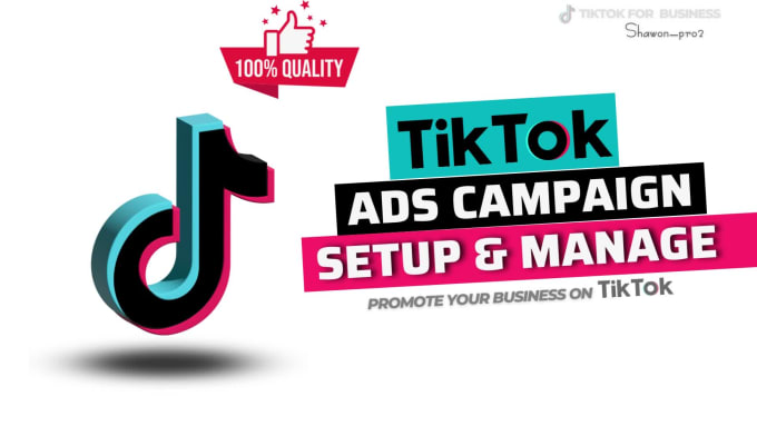 Setup And Manage Tiktok Ads Campaign Tik Tok Ads Tiktok Advertising