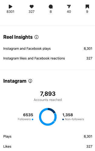 instagram campaign results