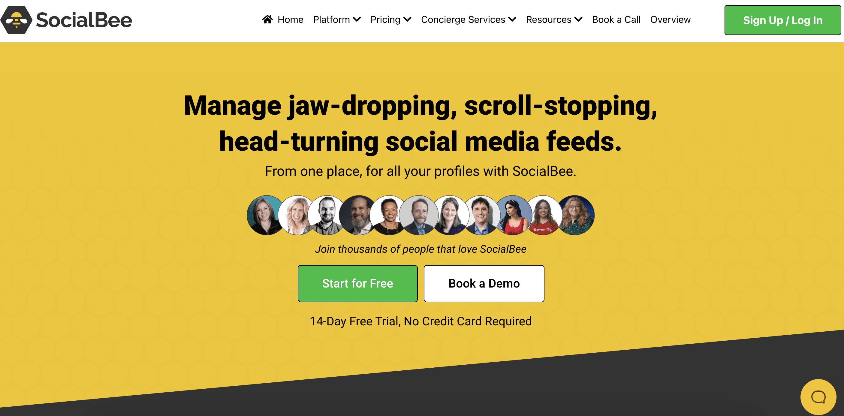 socialbee homepage