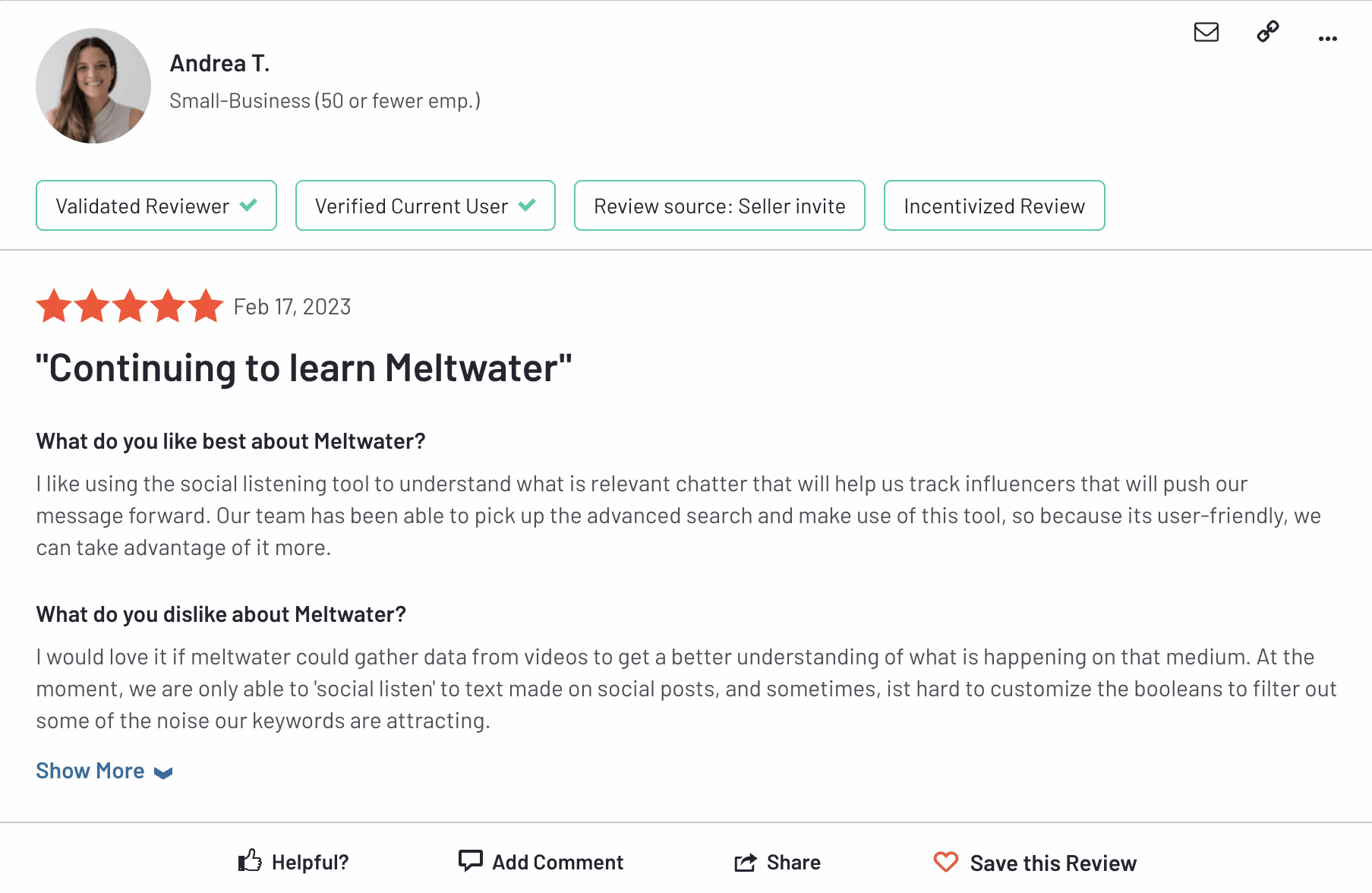 review for meltwater AI