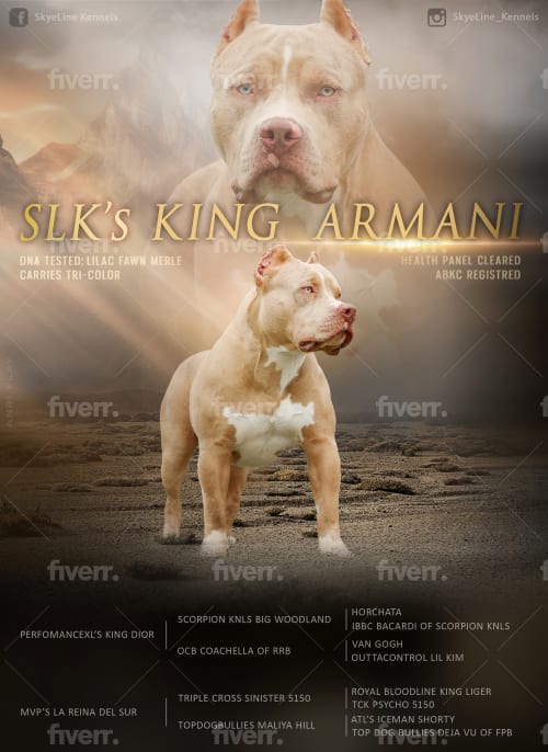Pitbull dna hot sale