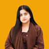 Aneesa Ghaffar