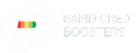 Rapid Credit Boosters -