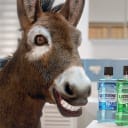 Listerine_Donkey