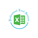 Professional_Excel Services