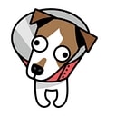 LampDog_Studio