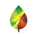 Cintron_Landscape Services