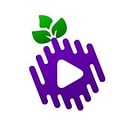 Elderberry_Media