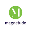 Magnetude_Consulting