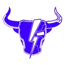 CYBER_BULL