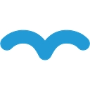 VMG