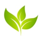Organic_Martz