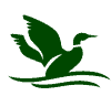 Mallard_Financial Partners