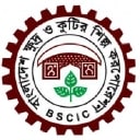 BSCIC
