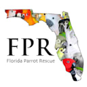 Florida_Parrot Rescue