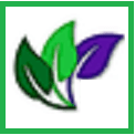 Herbal Mana