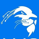 Vallions