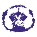 Indigo_Marmoset