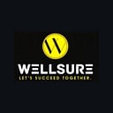 wellsure_solutions