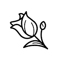 Lupyd_Tech Pvt Ltd
