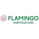 Flamingo_Horticulture