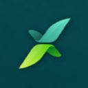 ForexVox