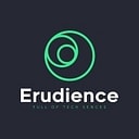 Erudience_IT