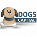 Dogs_Capital