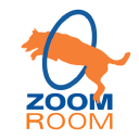 Zoom Room