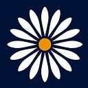 Daisy_Group