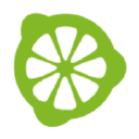 saltylemon Online-Marketing