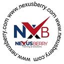 NexusBerry_Training