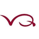 Vinos_QuiXote
