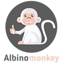 Albino monkey