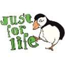 FlyCards_или JustForLife