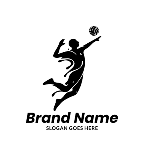 Volleyball logo