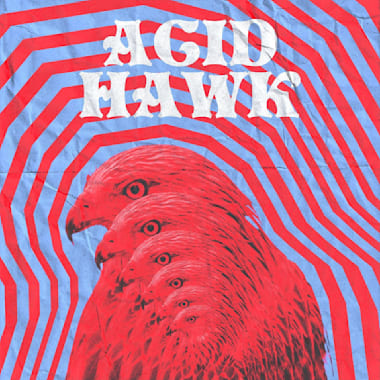 Album cover for Acid Hawk