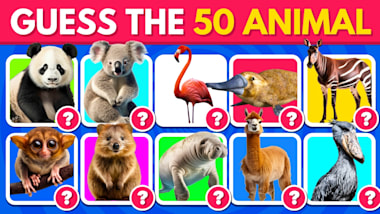 Create quiz video for your you tube channel by Shahidali1425 Fiverr