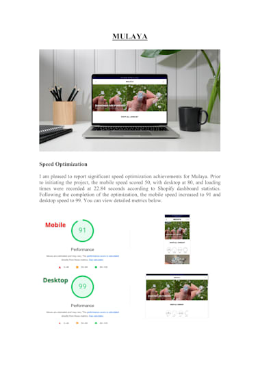 Mulaya Online Optimize Shopify Speed, Boost Page Speed And Site