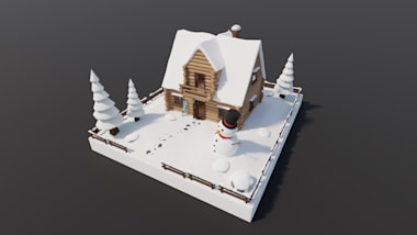 Winter house