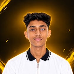 dexx31