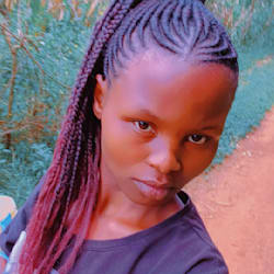 beckwriterke