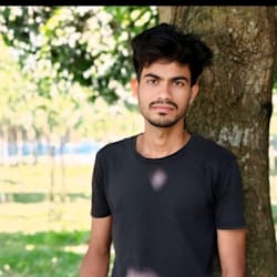 samim_wordexper