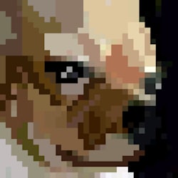 topixels