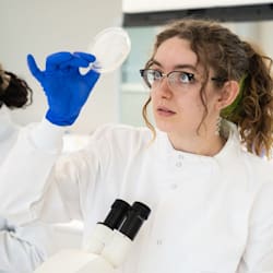 bioexpert_fj