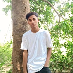 amirhamzury